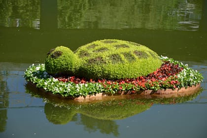 Плавающие клумбы