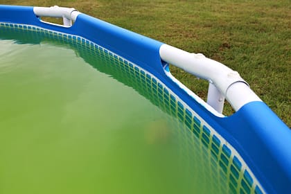 Зеленая вода в бассейне – образование водорослей в каркасном бассейне