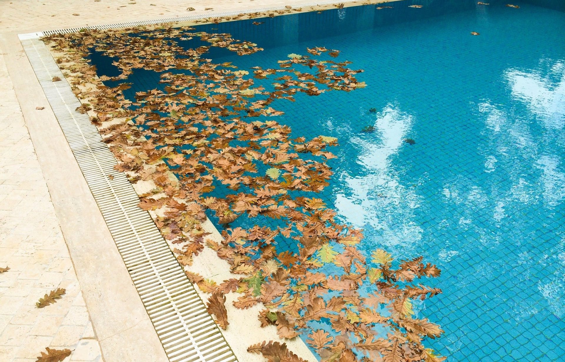 Как не допустить попадания листьев в бассейн